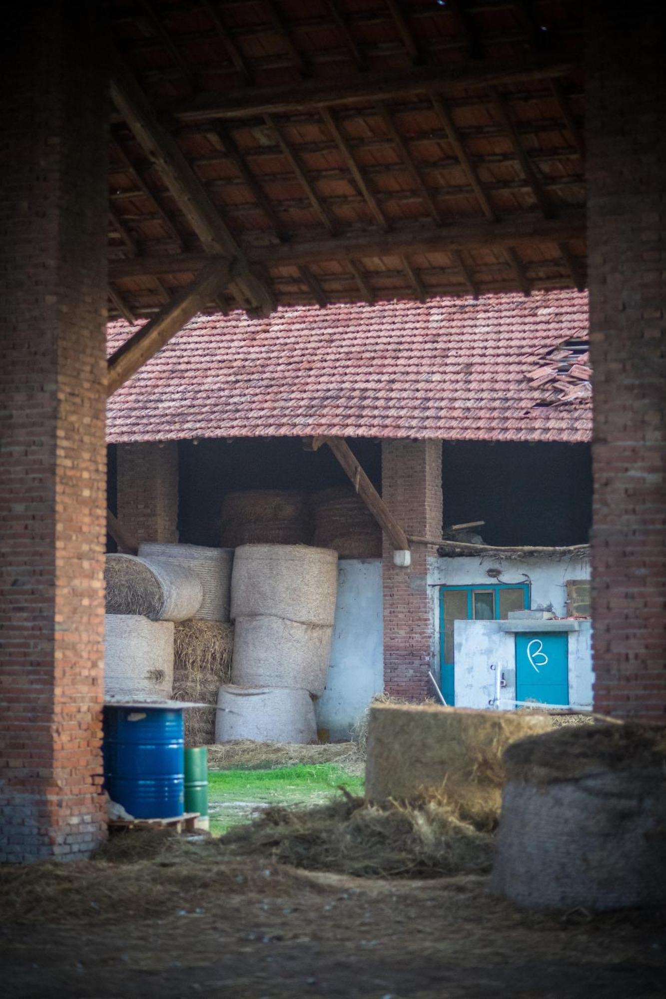 Agriturismo Beatilla Marmirolo Εξωτερικό φωτογραφία