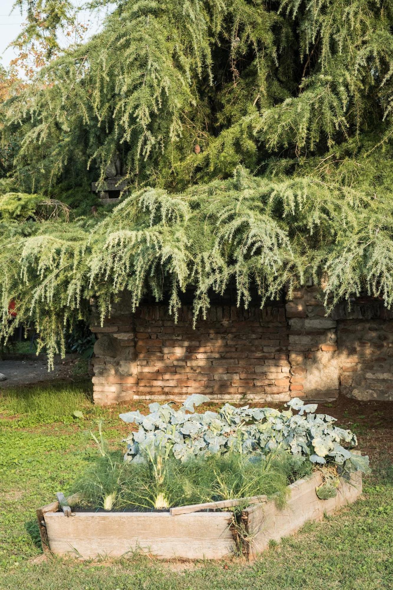Agriturismo Beatilla Marmirolo Εξωτερικό φωτογραφία